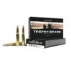 Nosler  30-06 Springfield 180gr Partition 20ct -  20