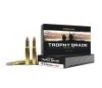 Nosler Trophy Grade  30-06 Sprg 180 gr AB 20ct -  20