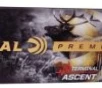 Federal Terminal Ascent  300 WSM 200 gr 20ct -  20