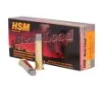 HSM Bear Load Hard Cast  45-70 Govt 430gr RNFP Gas Check 20ct -  20