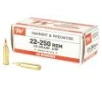 Winchester USA  22-250 Rem Ammunition 45gr JHP 40CT -  40