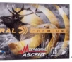Federal Premium Terminal Ascent  308 Win  175 grain Polymer Tip 2600 FPS  20 rd box 