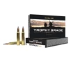 Nosler Partition Trophy Grade 300 Winchester Magnum Rifle Ammunition 20 Round Box