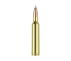 Nosler Trophy Grade TGA-7mm Rem Mag 160g AB SP  20ct  Ammunition 47284