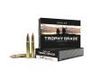 Nosler Trophy Grade TGA - 9 3x62 Mauser 250g AB SP  20ct  Ammunition 48634