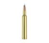 Nosler Trophy Grade TGA-300 Wby Mag 180g AB SP  20ct  Ammunition 48643