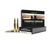 Nosler Trophy Grade TGA - 280 Ack Imp 160g PT SP  20ct  Ammunition 60044