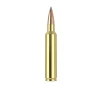 Nosler Trophy Grade  Long Range  TGA-30 Nosler 210g ABLR SP  20ct  Ammunition 60118