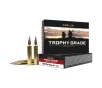 Nosler Trophy Grade  Long Range  TGA - 300 Win Mag 190g ABLR SP  20ct  Ammunition 60126
