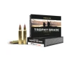 Nosler Trophy Grade TGA - 223 Rem 70g AB SP  20ct  Ammunition 61036