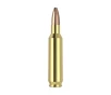 Nosler Varmageddon VGA-22 Nosler 62g VG HPFB  50ct  Ammunition 65180