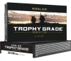 Nosler 60064 Trophy Grade Nosler Spitzer Partition 165 Grain  300 RUM 3350 fps