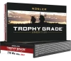 Nosler 60125 Trophy Grade Nosler Spitzer AccuBond Long Range 150 Grain  270 Winchester 2850 fps