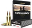 Nosler 48263 Trophy Grade Nosler AccuBond 90 Grain  243 Winchester 3100 fps