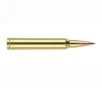 Nosler Trophy Grade Long Range Rifle Ammunition 300 WSM 190 gr  ABLR SP 20 rd  2875 FPS