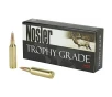 Nosler Trophy Grade Rifle Ammunition 270 WSM 140 gr  AB SP 20 rd 
