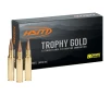 HSM Trophy Gold Berger Hunting VLD Match 210 Grain  300 Winchester Mag 2922 fps