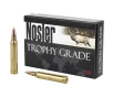 Nosler Trophy Grade Nosler AccuBond 180 Grain  300 Winchester Mag 2950 fps