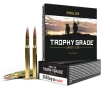 Nosler Trophy Grade Rifle Ammunition 30-06 SPRG 165 gr  AB SP 20 rd 