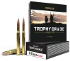 Nosler Trophy Grade Rifle Ammunition 30-06 SPRG 180 gr  AB SP 20 rd 