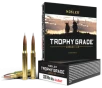 Nosler Trophy Grade Rifle Ammunition 308 Win  165 gr  AB SP 20 rd 