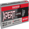 Winchester Xpert Rimfire 22 LR Copper Plated Hollow Point 42 Grain 100 Rounds