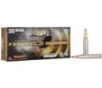 Federal Premium Trophy Copper 300 Winchester Magnum Polymer Tipped 165 Grain 20 Rounds
