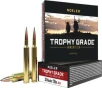 Nosler Trophy Grade Lr 30 - Nosler 210gr Ablr 20rd 10bx cs