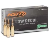 HSM 24318N Low Recoil  243 Win 85 gr Polymer Tip 20 Bx  25 Cs