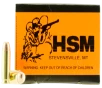 HSM 10MM2N Training 10mm Auto 180 gr Full Metal Jacket 50 Per Box  20 Case