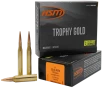 HSM 2506115VLD Trophy Gold Extended Range 25-06 Rem 115 gr Berger Hunting VLD Match 20 Per Box  20 Case