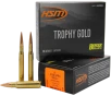 HSM 3006185VLD Trophy Gold Extended Range 30-06 Springfield 185 gr Berger Hunting VLD Match 20 Per Box  20 Case