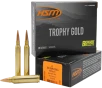 HSM 300WM185VLD Trophy Gold Extended Range 300 Win Mag 185 gr Berger Hunting VLD Match 20 Per Box  20 Case