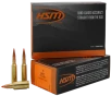HSM 6ARC1N Centerfire Rifle V-Max 6mm ARC 75 gr Jacket Hollow Point 20 Per Box  25 Case