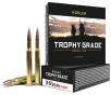 Nosler 46134 Trophy Grade 30-06Springfield 180gr Nosler AccuBond 20 Per Box 10 Case