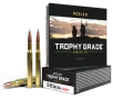 Nosler 60057 Trophy Grade 30-06Springfield 165gr Nosler AccuBond 20 Per Box 10 Case