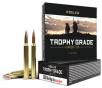Nosler 60059 Trophy Grade 300WinMag 180gr Nosler AccuBond 20 Per Box 10 Case
