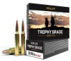 Nosler 60063 Trophy Grade 300WSM 180gr Nosler AccuBond 20 Per Box 10 Case