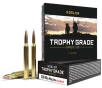 Nosler 48643 Trophy Grade 300WthbyMag 180gr Nosler AccuBond 20 Per Box 10 Case