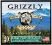 Grizzly Ammo GC38SP P9 38Special P 148gr Full Metal Jacket Flat Point 20 Per Box 10 Case