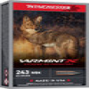 Winchester X243PXP Varmint X Extreme Point 65 Grain  243 Winchester 3620 fps