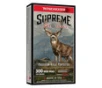 Winchester 300 Win Mag 195 Grain