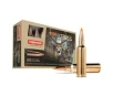 Norma Tipstrike   300 WSM  Polymer Tip  170 Grain  20 Rounds
