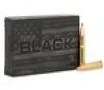 Hornady 300 Blackout 110 gr NTX Black 20 Box