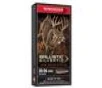 Winchester 30-06 Springfield 150 gr Ballistic Silvertip 20 Box