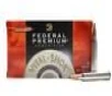 FEDERAL AMMUNITION 300 Win Mag 180 gr Trophy Copper V-Shok Police Trade Ammo 20 Box
