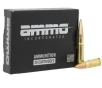 Ammo Incorporated 300 Blackout 168 gr BTHP Match 20 Box