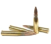 223 Remington 62gr  Solid Copper Hollow Point Ammo