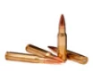 308 Winchester 168gr  BTHP Match 20rds