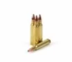 5 56  45 NATO 55gr  Soft Point
